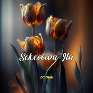Angga Candra - Sekecewa Itu (DJ Diqta Remix) - 排舞 音樂